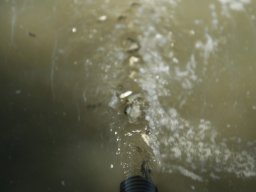 250626_pelo_027