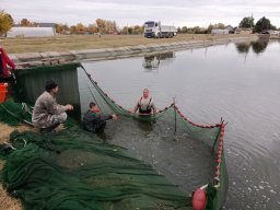 251031_szh_tisza_maros_001