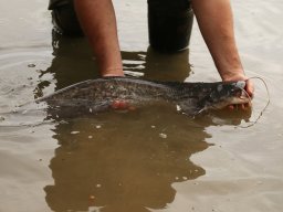 251031_szh_tisza_maros_011