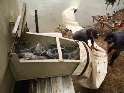 251031_szh_tisza_maros_012