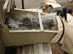 251031_szh_tisza_maros_013