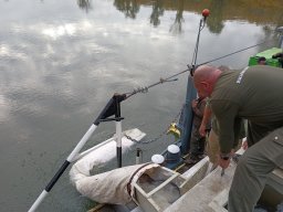 251031_szh_tisza_maros_027