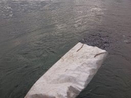 251031_szh_tisza_maros_028