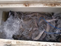 251031_szh_tisza_maros_029