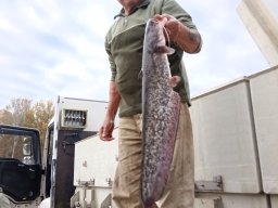 251031_szh_tisza_maros_031