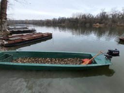 Mártélyi Holt-Tisza