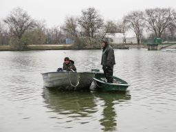 Törpeharcsa halászat