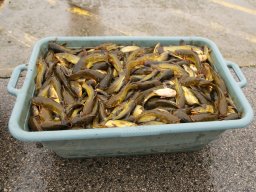 Maty-éri víztározó