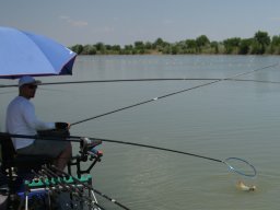 LXII. Tagszövetségi Csapat Országos Bajnokság