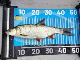 251012_csp_csongrad_020