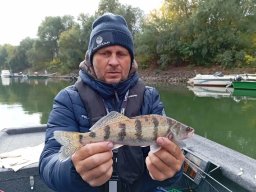 251012_csp_csongrad_028