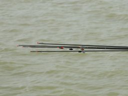 250418_egyeniob025