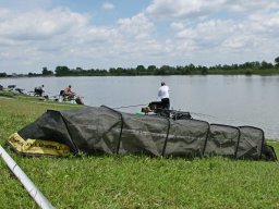 250530_feederelodonto_018