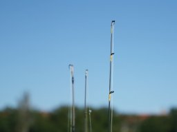 250517_csp_szeged_008