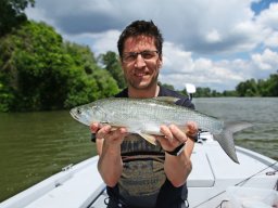 250517_csp_szeged_027