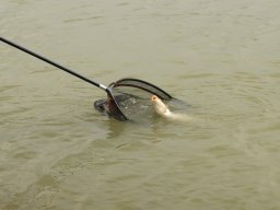 250523_klubob_005