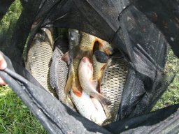 250523_klubob_062