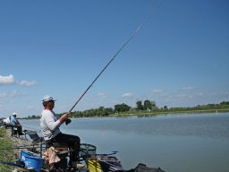 250531_mls_feeder_ob_005