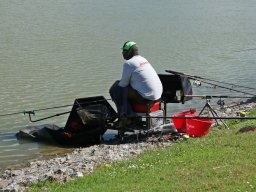 250531_mls_feeder_ob_012