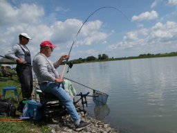 250531_mls_feeder_ob_013
