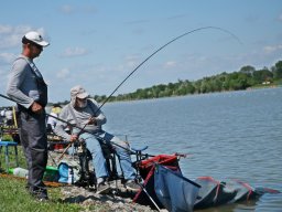 250531_mls_feeder_ob_014