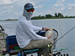 250531_mls_feeder_ob_022