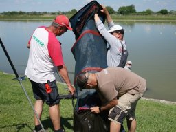 250531_mls_feeder_ob_025