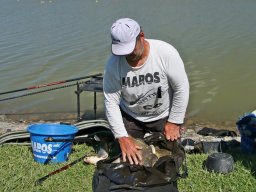 250531_mls_feeder_ob_038