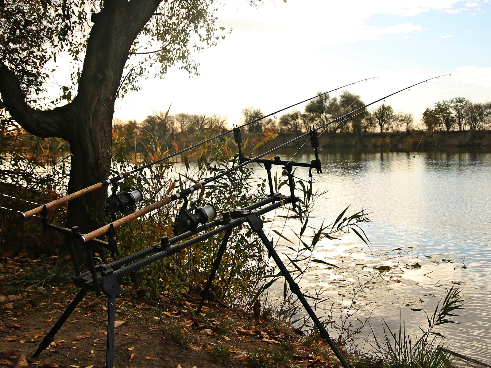VI. Atka Kupa 2025, őszi forduló