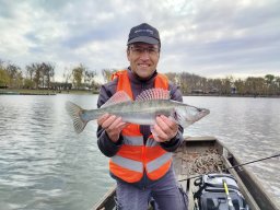 251116_csp_martely010