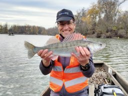 251116_csp_martely012