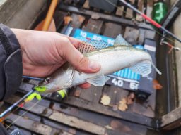 251116_csp_martely015