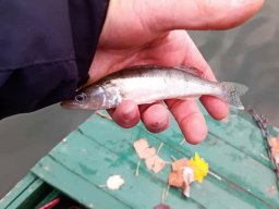 251116_csp_martely016