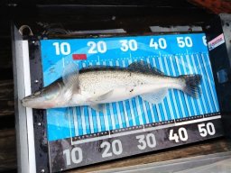 251116_csp_martely017