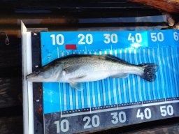 251116_csp_martely018