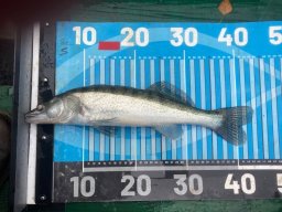 251116_csp_martely019