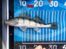 251116_csp_martely020