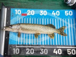 251116_csp_martely021