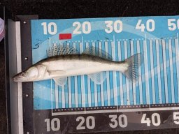 251116_csp_martely022