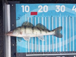 251116_csp_martely023