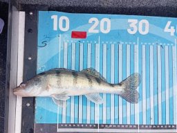 251116_csp_martely024