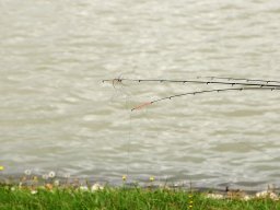 250928_method_ob_027