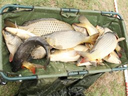 250928_method_ob_033