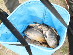 250928_method_ob_035