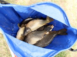 250928_method_ob_057