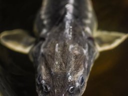 260709_martely_tabor033