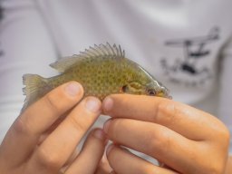 260709_martely_tabor034