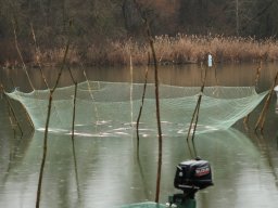 20260219_busa_martely_002