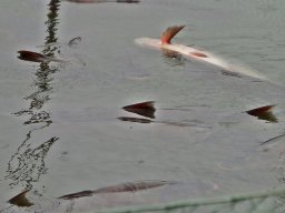 20260219_busa_martely_003