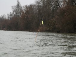 20260219_busa_martely_010